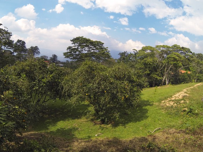Venezuela landscape